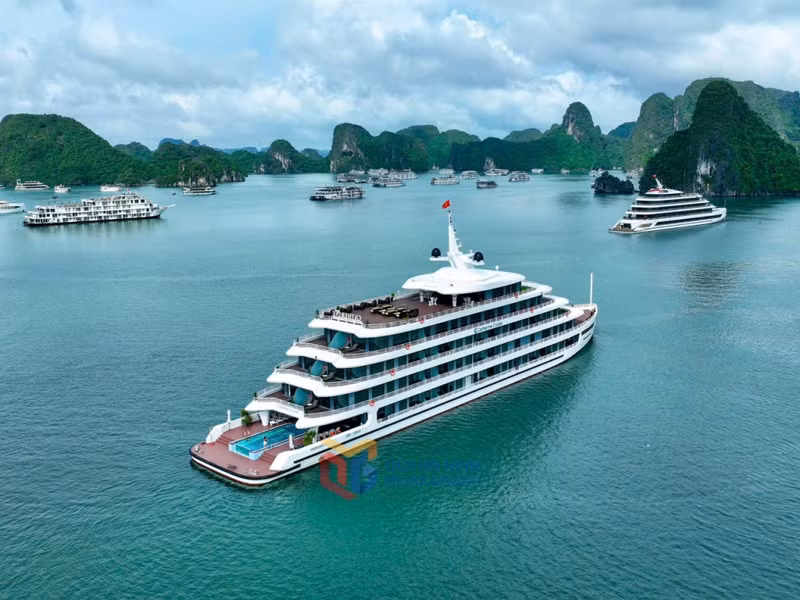 Los cruceros aportan vitalidad y atractivo al paisaje natural de la bahía.