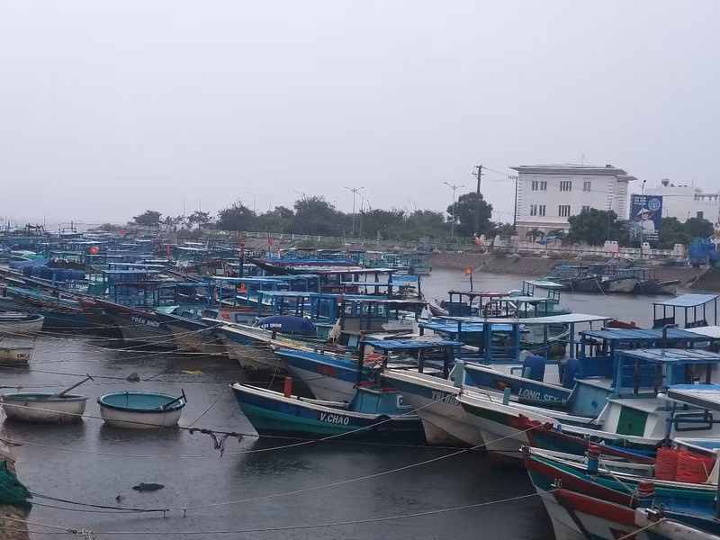 La provincia de Dak Lak cuenta actualmente con dos mil 575 embarcaciones pesqueras registradas en el sistema nacional de bases de datos pesqueras. (Foto: nongnghiepmoitruong.vn)