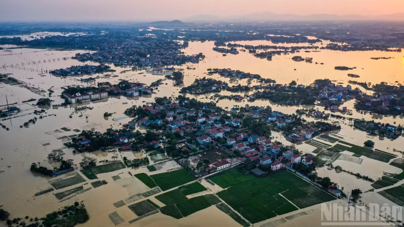 Rey de Camboya expresa su solidaridad con Vietnam tras recientes inundaciones