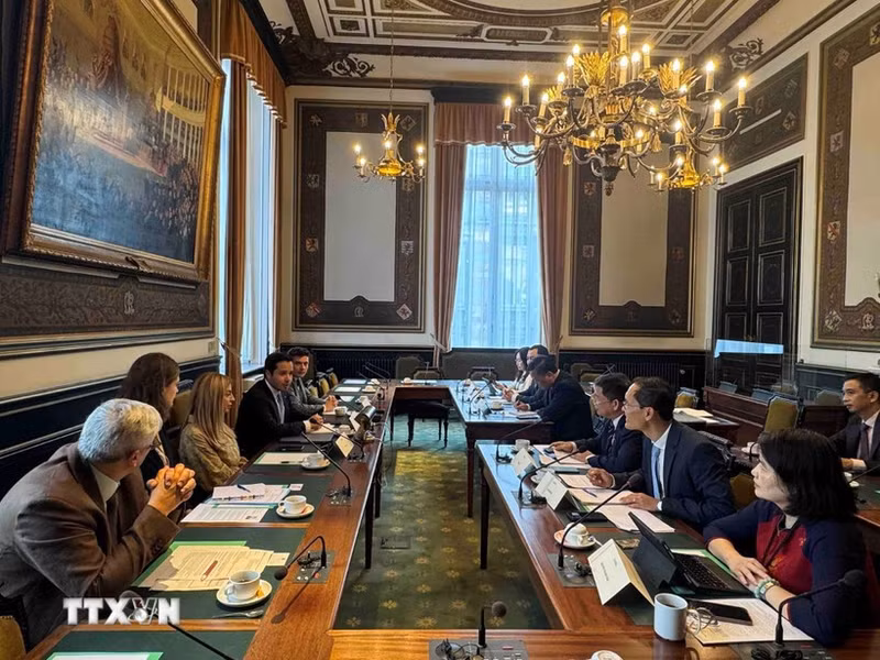 En la sesión de trabajo entre la delegación de la Comisión de Cultura y Asuntos Sociales de la Asamblea Nacional de Vietnam y la Comisión de Justicia de la Cámara de Representantes belga. (Foto: VNA)
