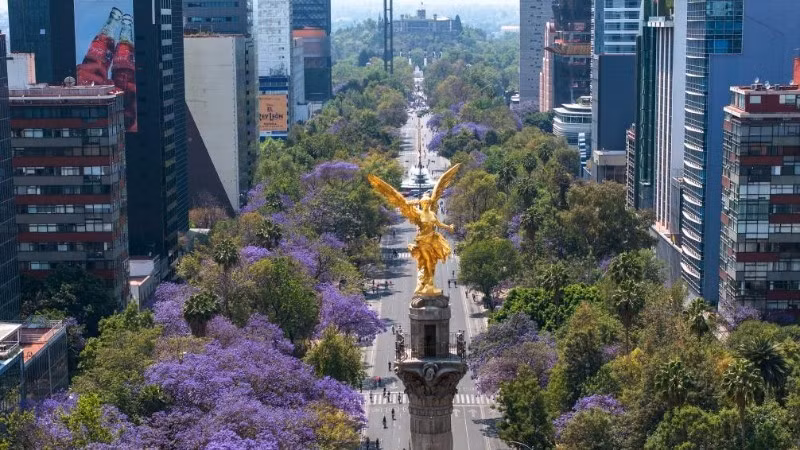 Paseo de la Reforma en Ciudad de México. (Foto: XINHUA)