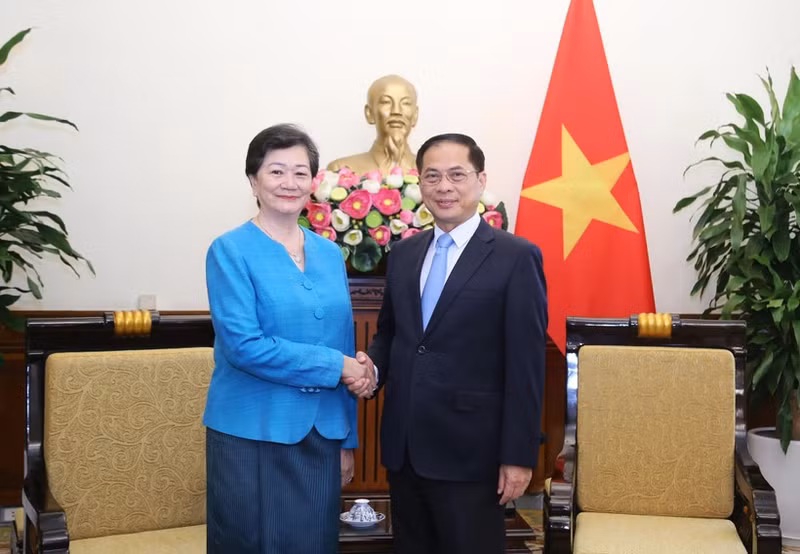 El viceprimer ministro y canciller de Vietnam, Bui Thanh Son, recibe a Chea Kimtha, embajadora de Camboya en el país. (Foto: VNA)