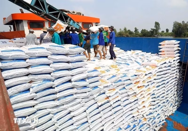 Exportaciones de arroz de Vietnam aumentan un 5% en los dos primeros meses de 2026 (Foto: VNA)