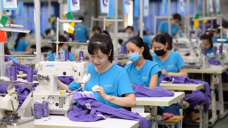Proponen creación de Centro Nacional de Materias Primas para la industria de la moda vietnamita