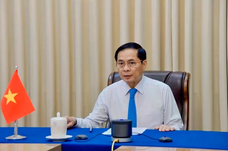 El viceprimer ministro y canciller de Vietnam, Bui Thanh Son (Foto: VNA)