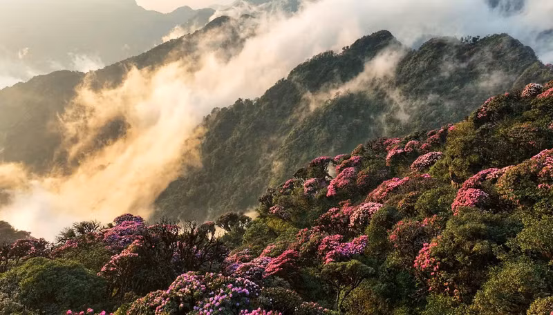 Bellaza paisaje en Lai Chau (Foto: Pu Lai Chau)