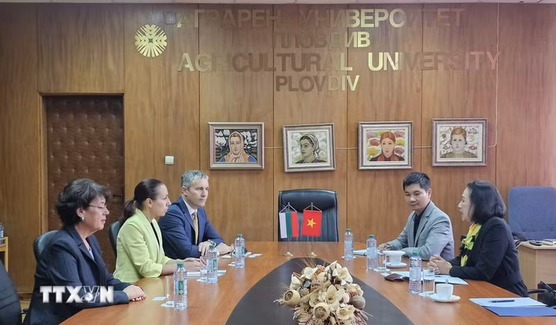 En la sesión de trabajo (Foto: VNA)