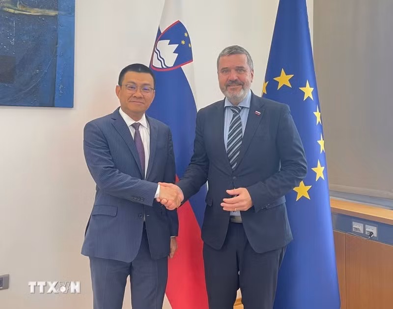 El embajador vietnamita en Austria, concurrente en Eslovenia, Vu Le Thai Hoang, y el ministro de Asuntos Exteriores y Europeos esloveno, Tone Kajzer. (Foto: VNA)