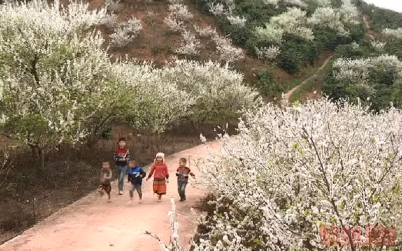 Muestra cultural de regiones montañosas de Vietnam abrirá en mayo