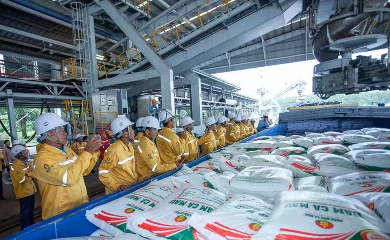 Empresa vietnamita exporta con éxito 40 mil toneladas de fertilizantes a Estados Unidos (Foto: Petrovietnam)