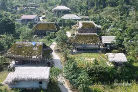 Foto: suckhoedoisong.vn